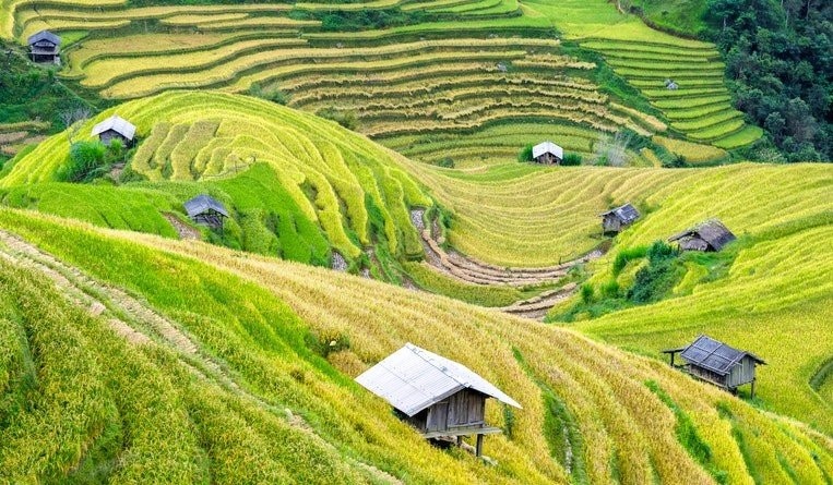 Vietnam's New Copyright Regulation