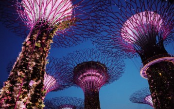 Singapore maintains eighth ranking in latest global innovation index