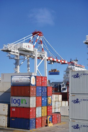 Free trade zones and fake goods