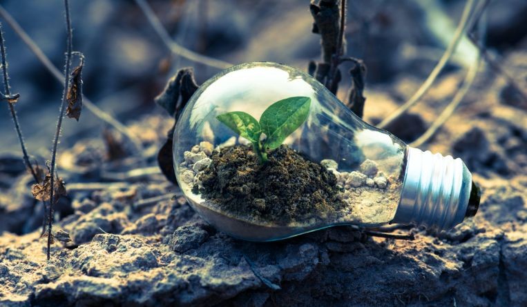 Building a greener future with IP strategy