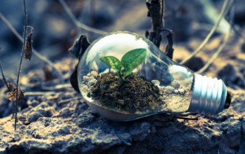 Building a greener future with IP strategy