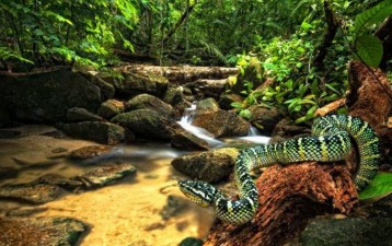 Climate Change and Protection of Biodiversity in Malaysia