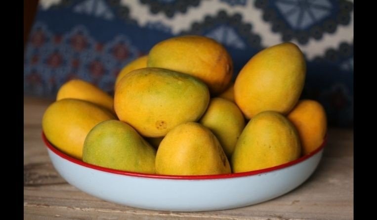 Harumanis GI mark only for mangoes grown in Perlis