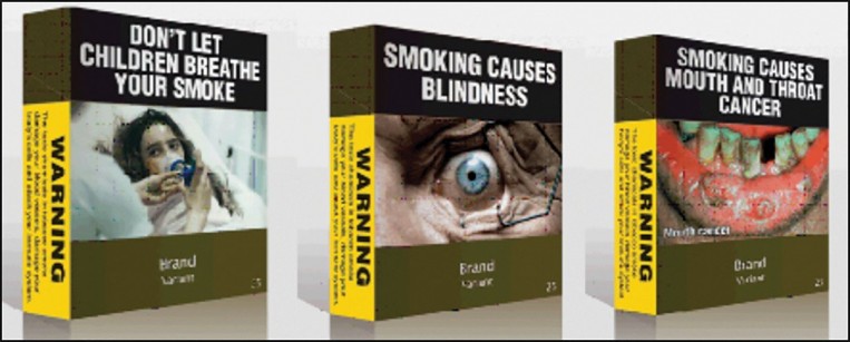 INTA submits amicus curiae brief on plain packaging laws