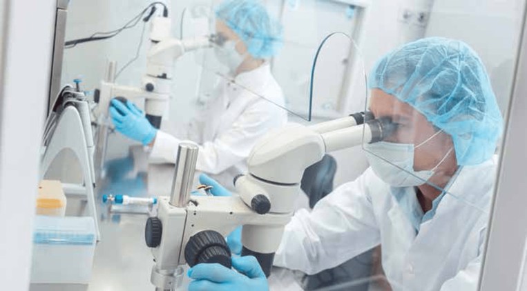 Can patent citations lead to real-world impact?