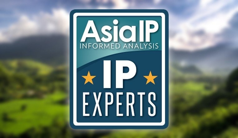 Vietnam's IP Experts 2020
