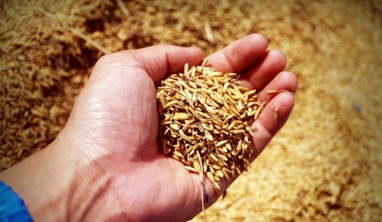 India - Pakistan duel over GI right for basmati rice “simmers”