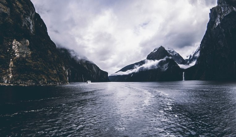 New Zealand businesses examining intellectual property assets, rights