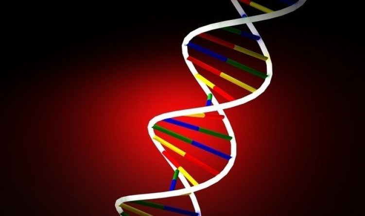 Leading regional firms create DNA