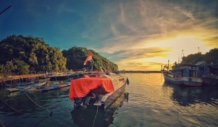 IP registrations in Indonesia increasing