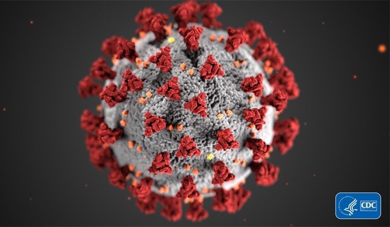 Coronavirus brings phishing scams