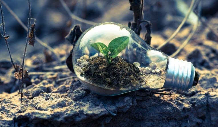 Small entities, big impact: the surprisingly sized world of sustainable development
